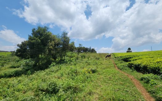 Vacant Land in Tigoni