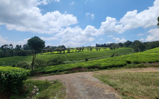 Vacant Land in Tigoni