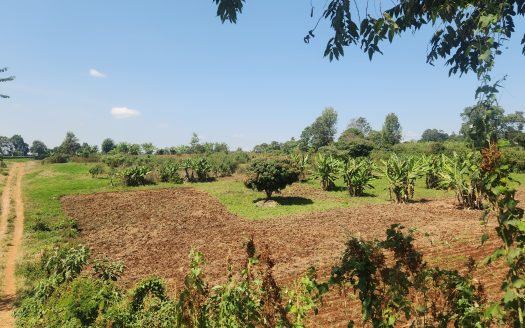 Tigoni Vacant Land – One Acre