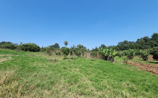 Tigoni Vacant Land – One Acre