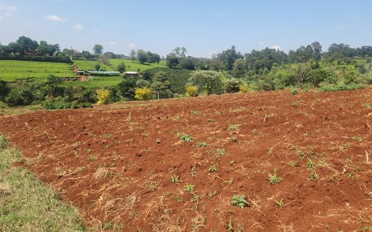 Tigoni Vacant Land – One Acre