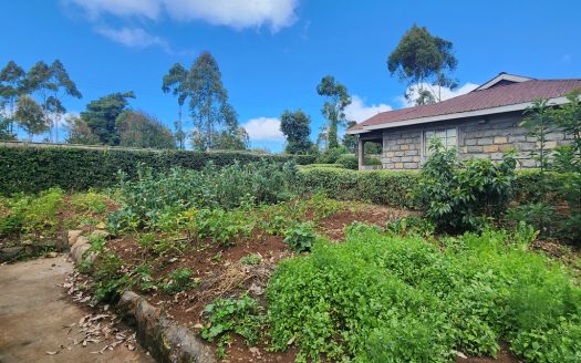 Residential Home – Near Tilisi