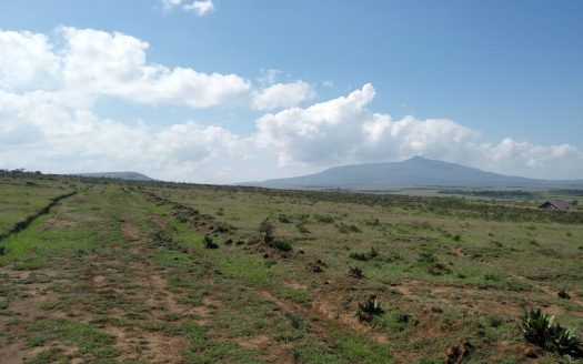 Naivasha Land