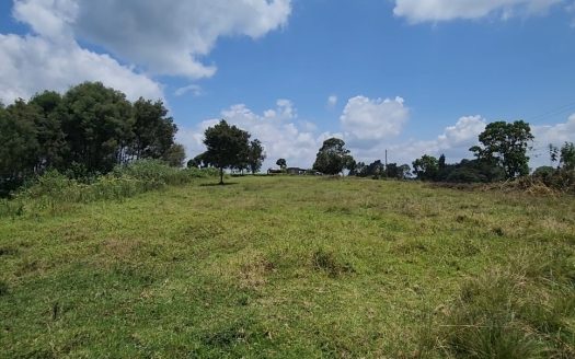 Vacant Land in Tigoni