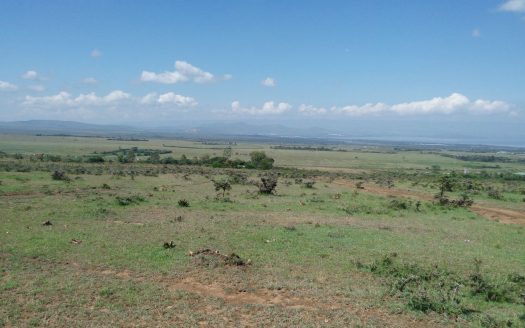 Naivasha Land